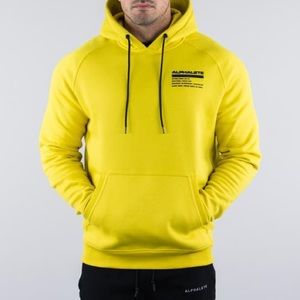 In Search Of, alphalete men’s performance hoodie